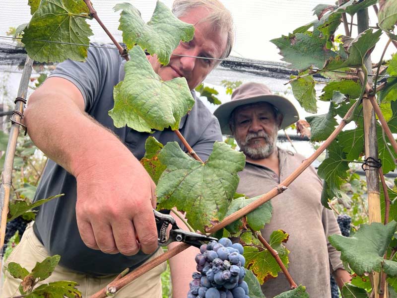 Valle de Cinti, Villa Abecia (2024)