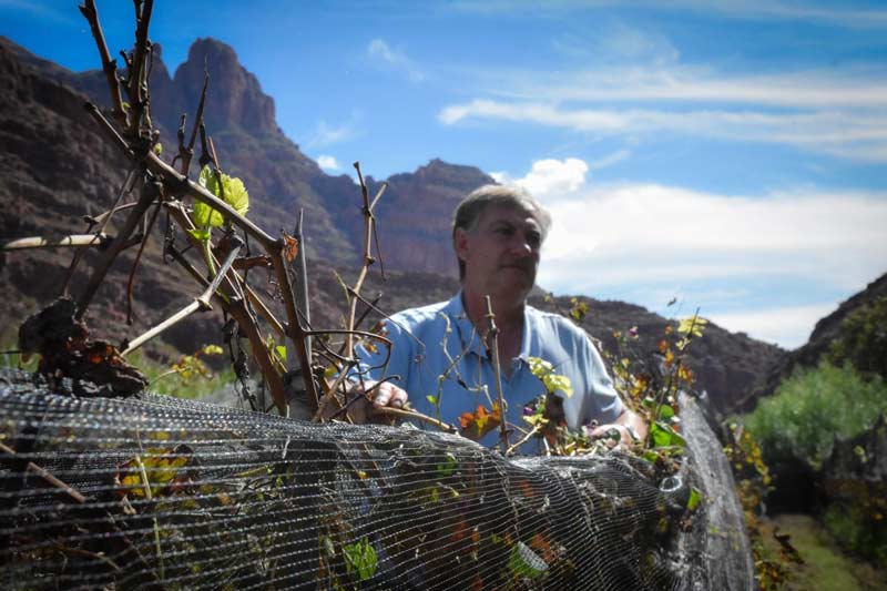 Valle de Cinti (2024)